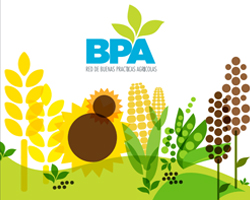 BPA: Directivas y requisitos para cultivos extensivos