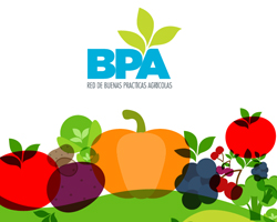 BPA: Directivas y requisitos para cultivos intensivos